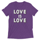 LOVE IS LOVE - ASEXUAL/DEMISEXUAL COLORS Unisex t-shirt