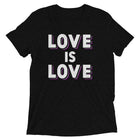 LOVE IS LOVE - ASEXUAL/DEMISEXUAL COLORS Unisex t-shirt