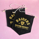 BOSTON HOCKEY Colorful Pin Banner