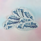 TAKE ME TO THE BOY AQUARIUM Vinyl Stickers