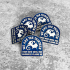 WE ARE THE THIRTEEN Lapel Pin